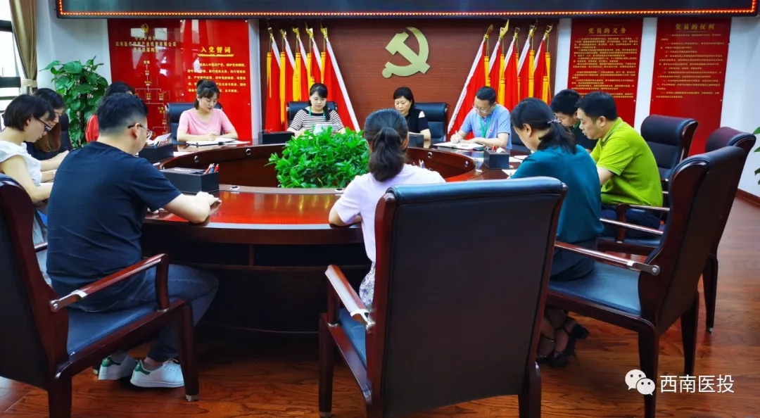 西南醫(yī)投集團(tuán)第二黨支部開展“逐夢起新航,習(xí)近平寄語青年”黨課活動(dòng)