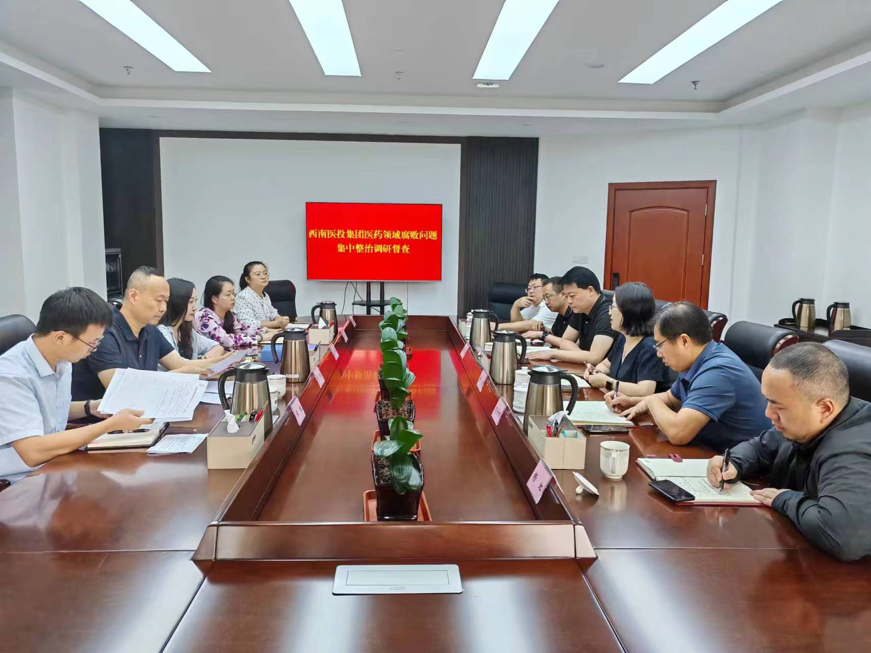 市紀委監(jiān)委駐市國資委紀檢監(jiān)察組赴西南醫(yī)投集團開展醫(yī)藥領域腐敗問題集中整治調(diào)研督查